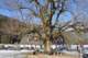 dsc_0854_small.jpg