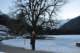 dsc_0877_small.jpg